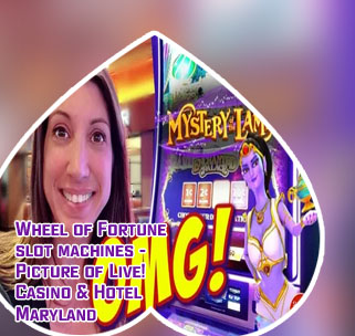 Live casino slot machines